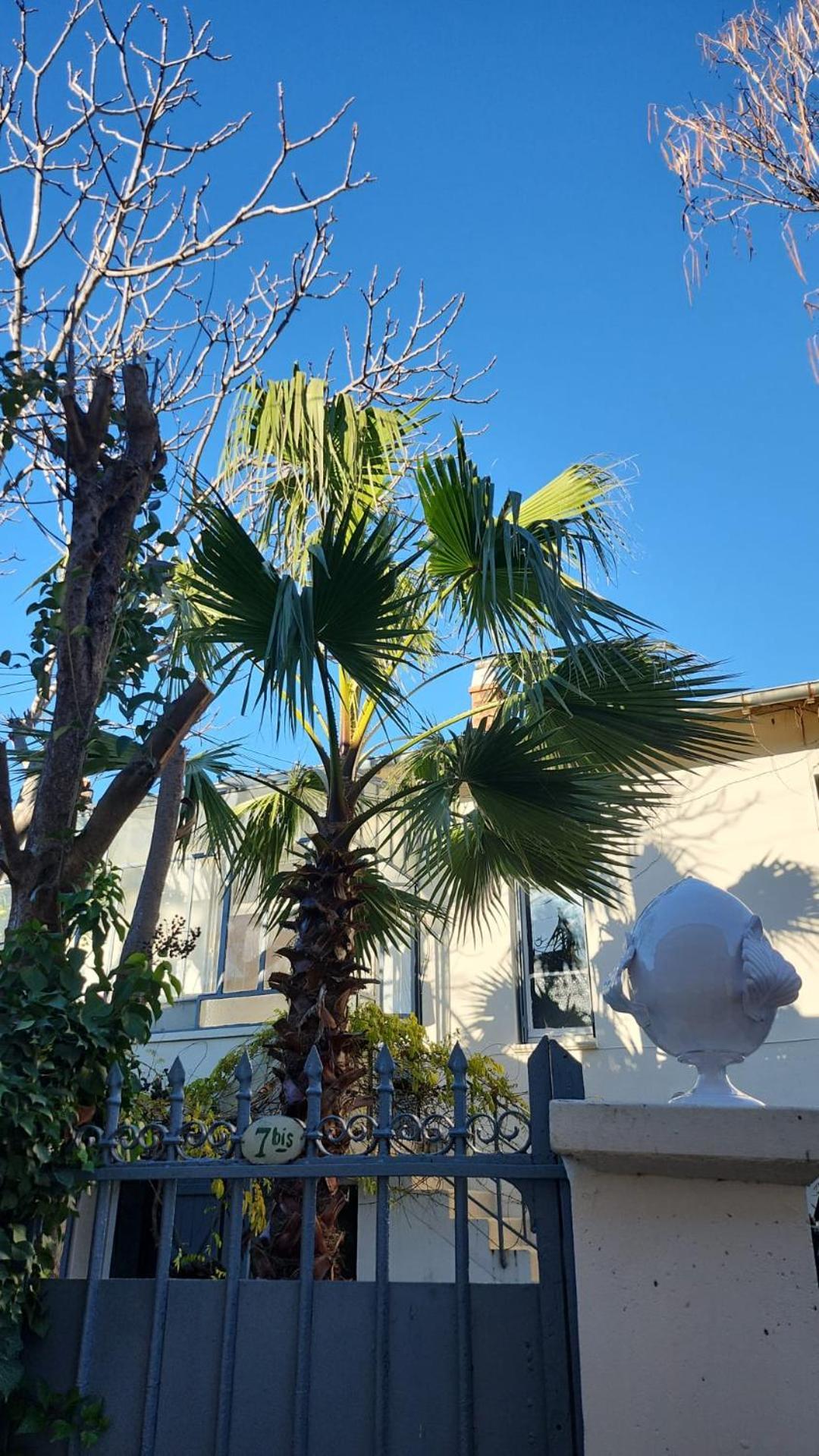 Le Nid Villa Avignon Kültér fotó